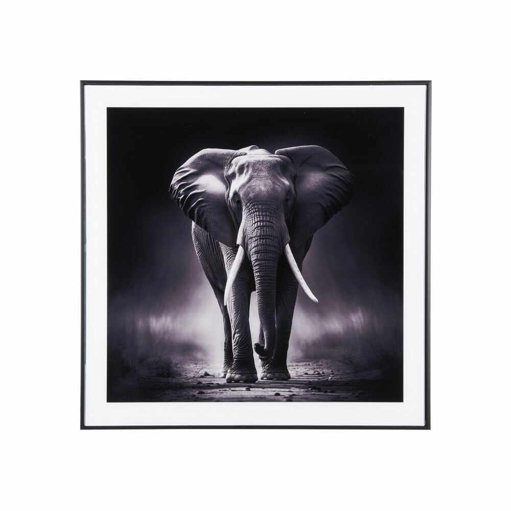 Tablou 50x50 cm Elephant – PT LIVING